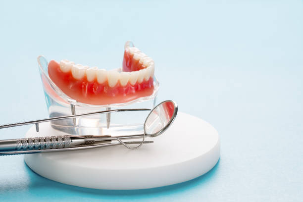 Best Traditional Braces  in Bastrop, TX
